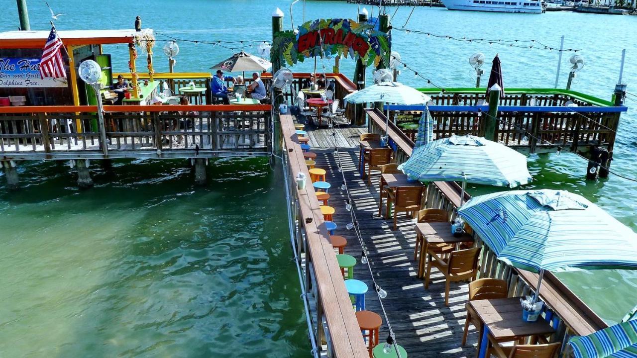 Coconut Paradise St. Pete Beach Exterior foto