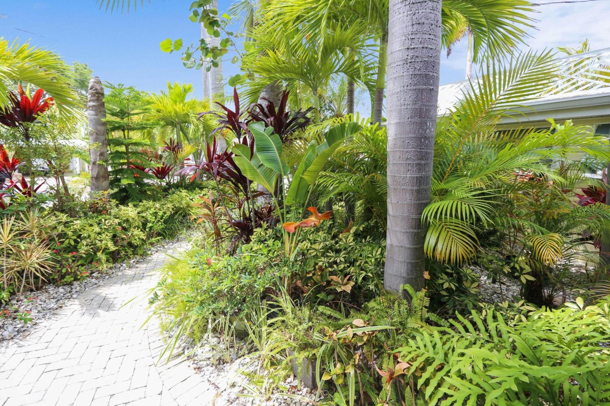 Coconut Paradise St. Pete Beach Exterior foto